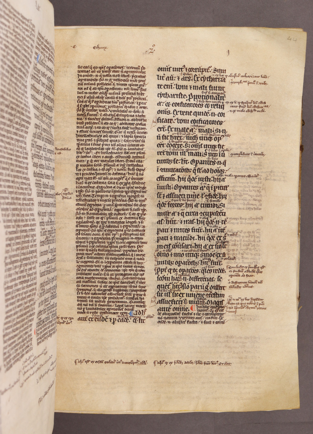 Folio 44 recto